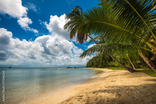 Fototapeta Naklejka Na Ścianę i Meble -  tropical island - sea, sky and palm trees