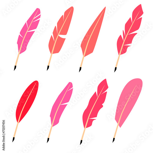 Vector feather. Four variants of color.