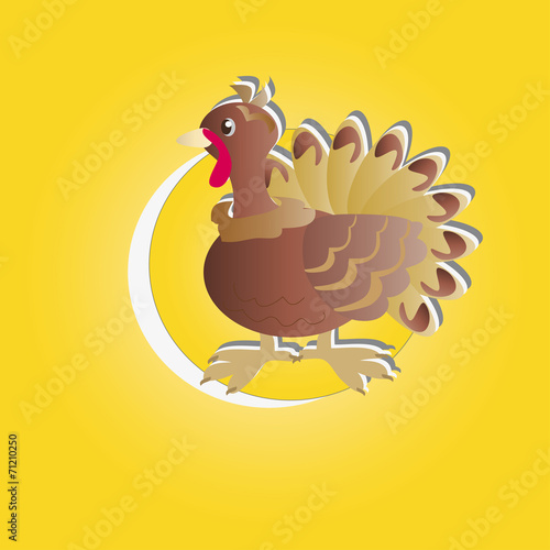 Turkey in the circle