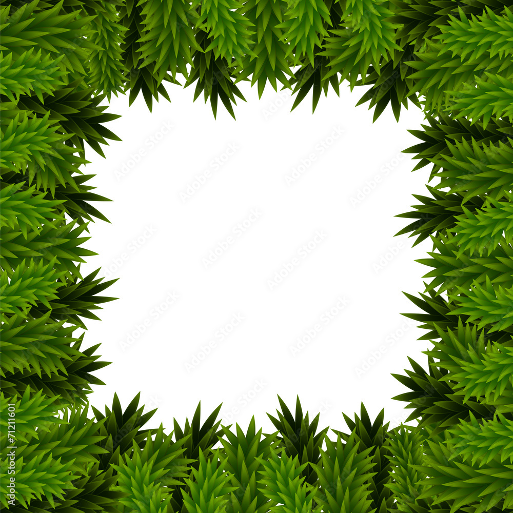 Christmas frame of fir branches Christmas frame of fir branches