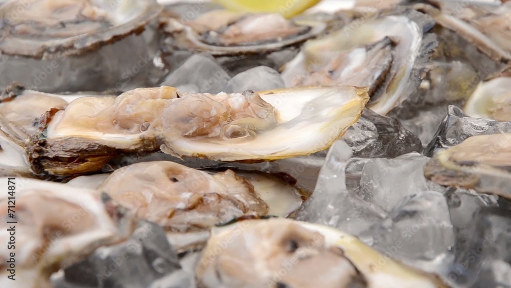 Fresh oysters close up Fresh oysters close up