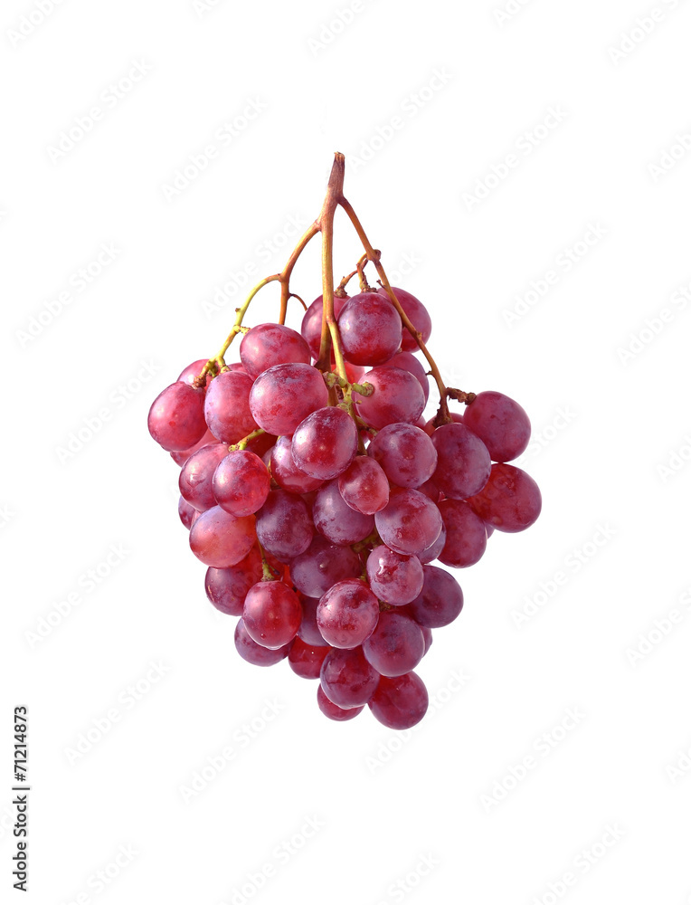 Grape Isolated On White Background Grape Isolated On White Background