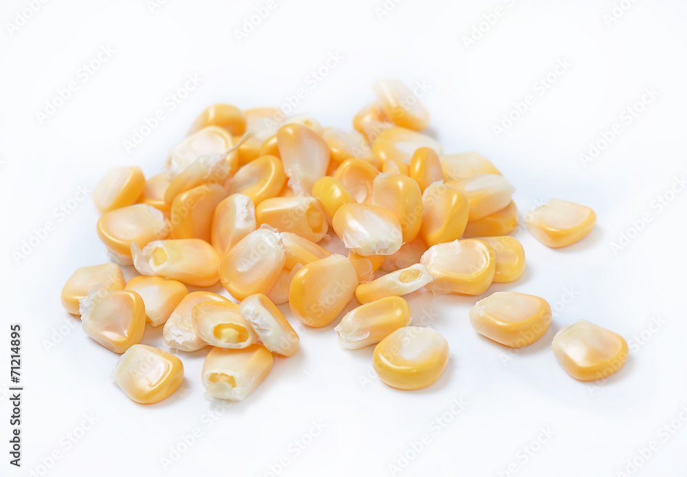 corn isolated on white background corn isolated on white background