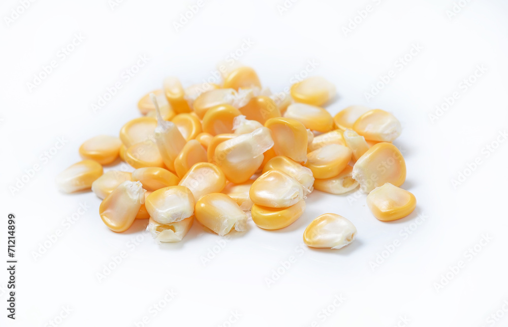 corn isolated on white background corn isolated on white background