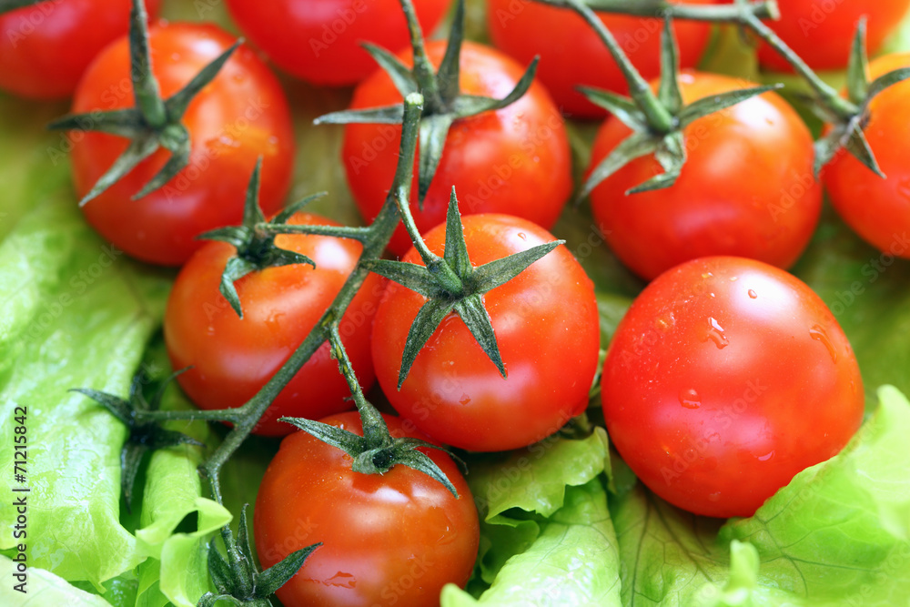 Cherry tomatoes on vine with water drops.