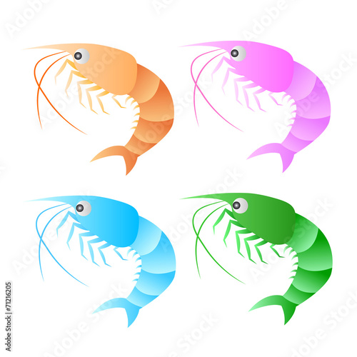 A shrimp isolated on white background. EPS10 vector format.