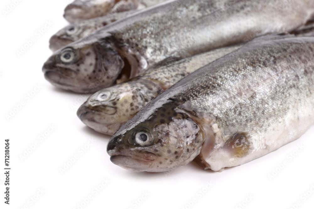 Five fresh rainbow trout on white background Five fresh rainbow trout on white background