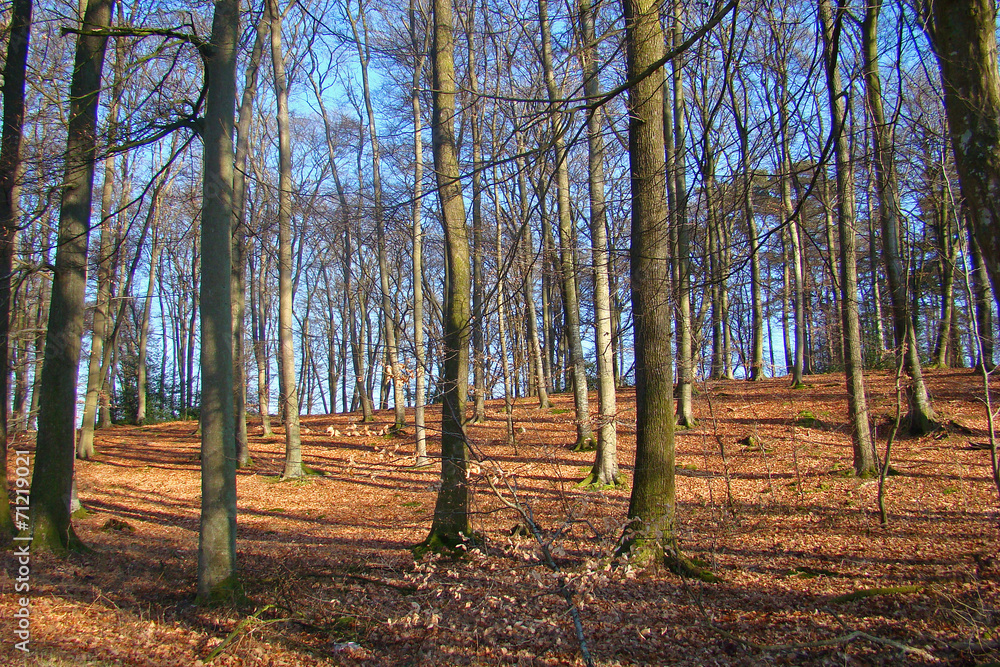 Forèt de Retz,Aisne Forèt de Retz,Aisne