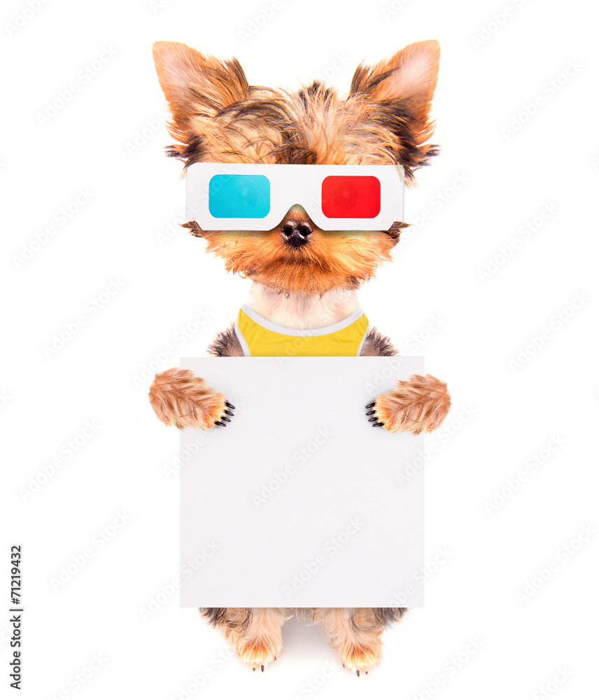dog going to the movies with banner dog going to the movies with banner