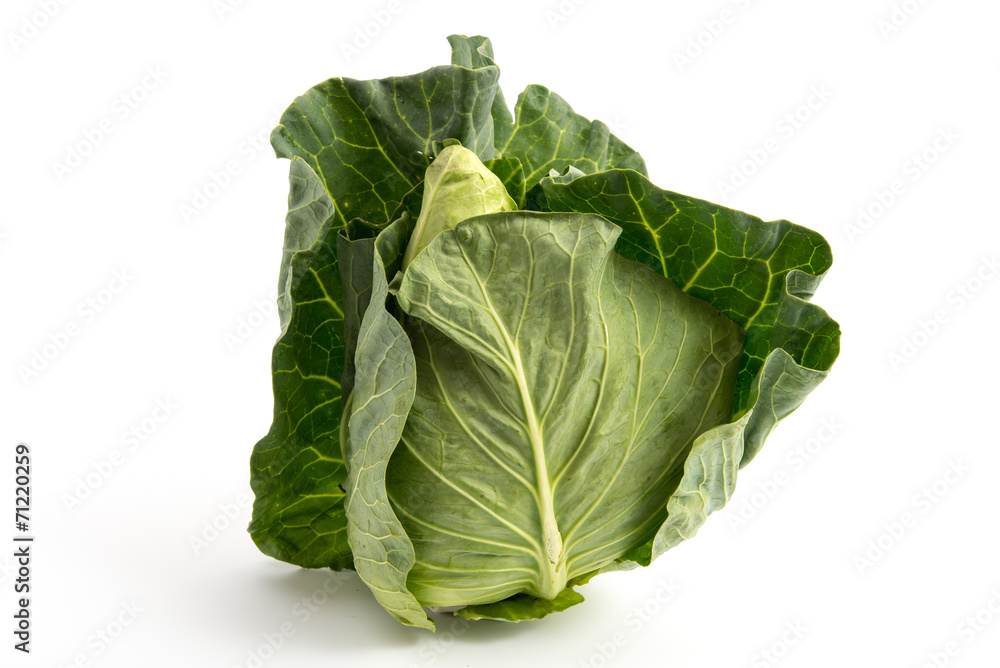 Spitzkohl Spitzkohl