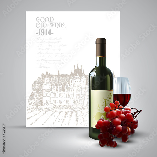 wine and grapevine
