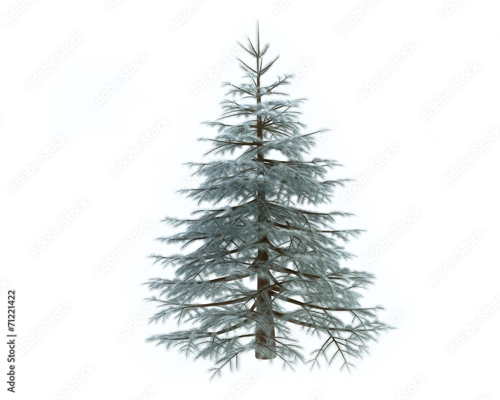 Fototapeta premium 3D Pine Tree in Winter
