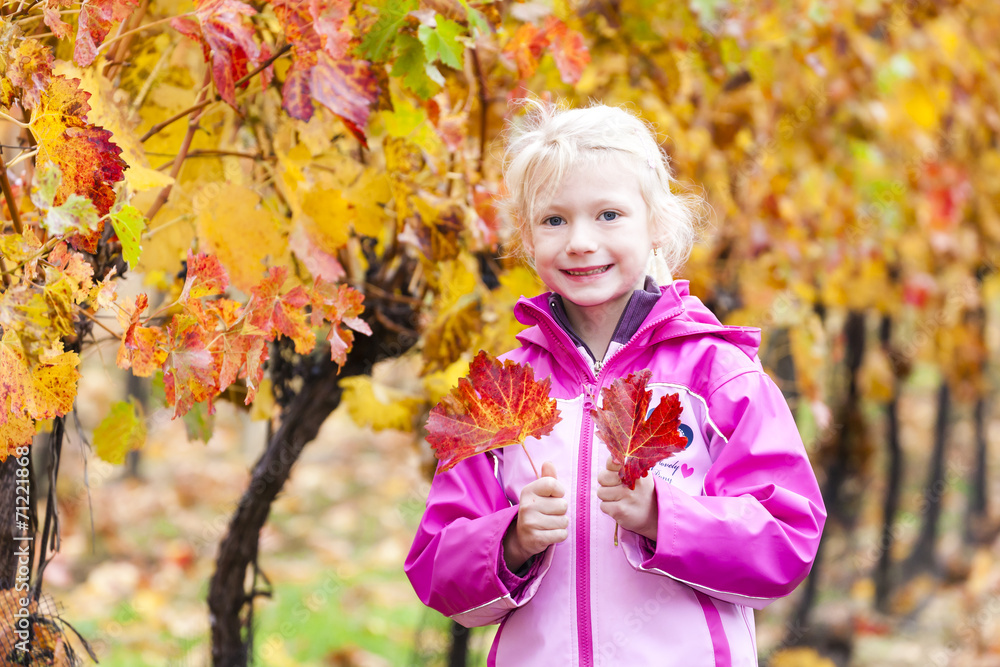 little girl in autumnal vineyard little girl in autumnal vineyard