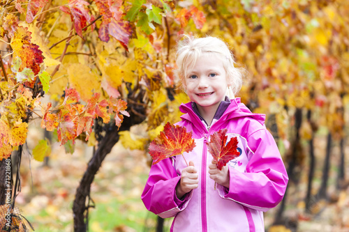 little girl in autumnal vineyard