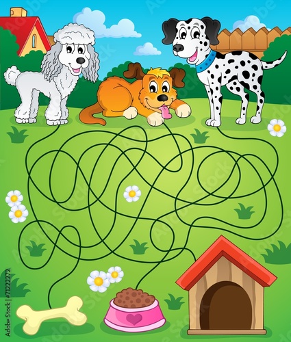 Maze 14 with dogs photo