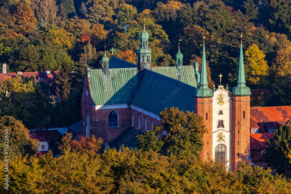 Obraz premium The top view of Oliwa Cathedral in autumn scenery, Poland