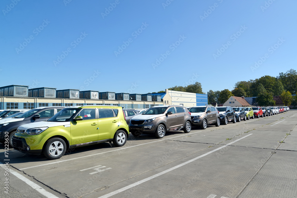 New cars stand on the territory of automobile plant