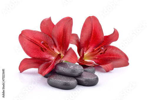 Kamienie bazaltowe z czerwonymi liliami