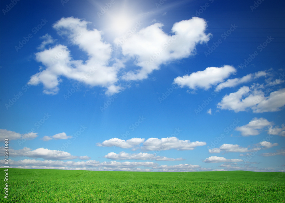 green field green field
