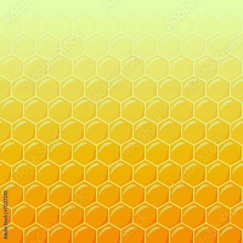 Honeycomb as illustration background, top light