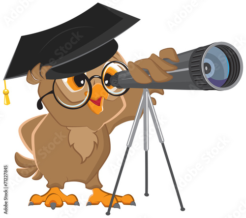 Owl astronomer looking through a telescope