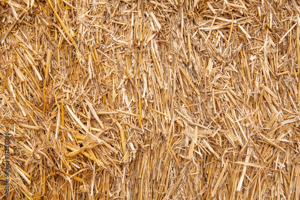 Bale of straw Bale of straw