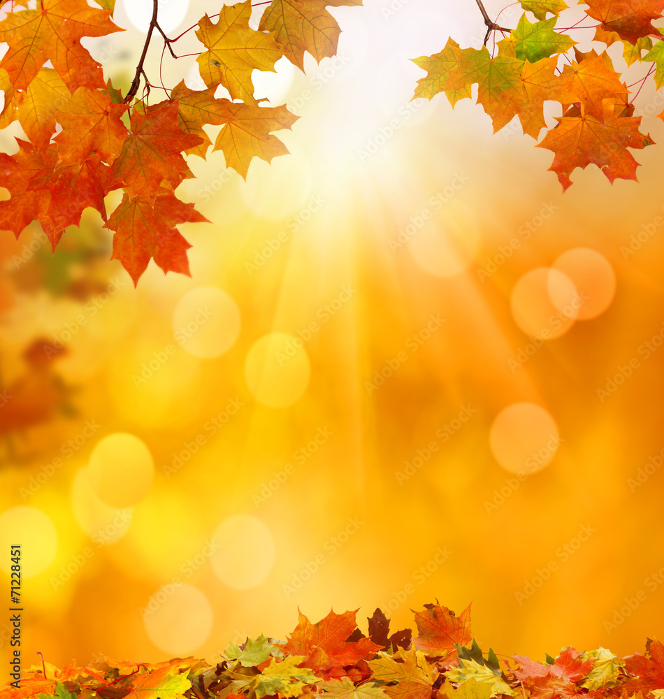 Naklejka premium Jesień spadających liści tło