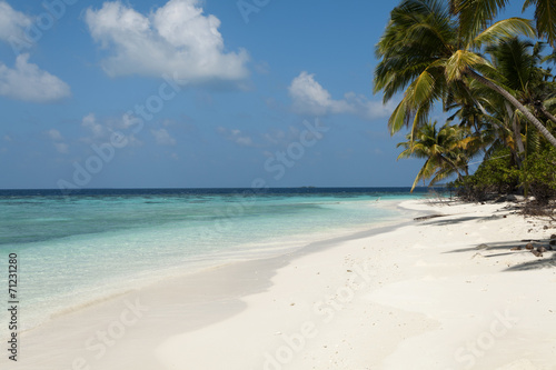 Fototapeta Naklejka Na Ścianę i Meble -  tropical island palm sea and sky