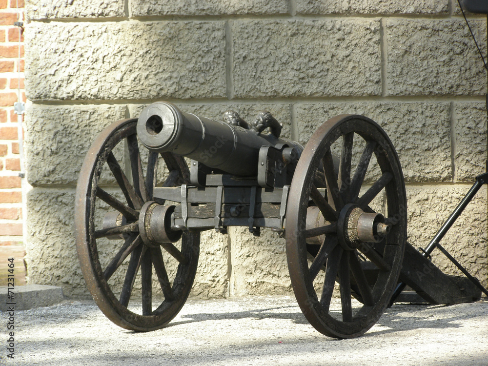 Old Cannon