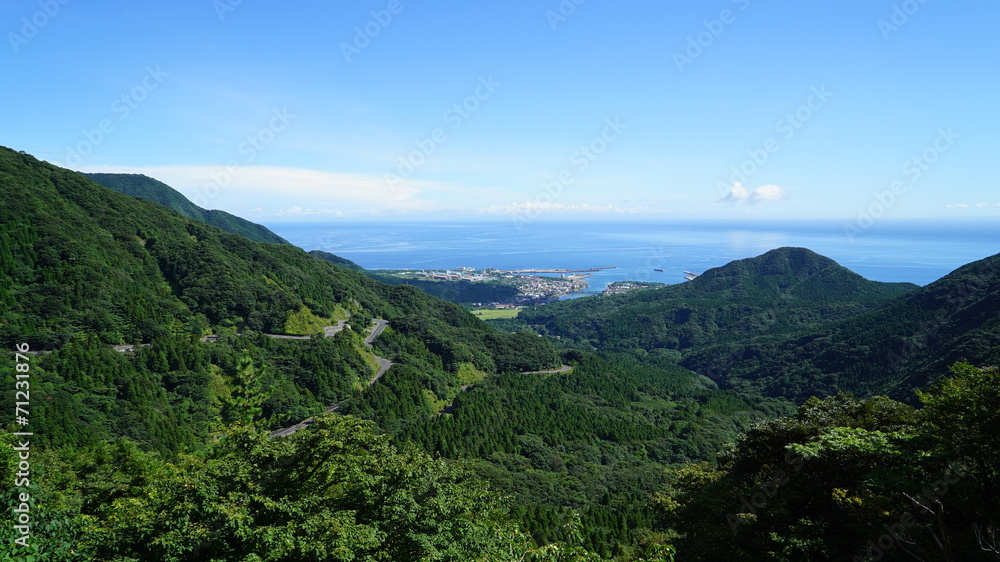 屋久島　山から見えた安房港