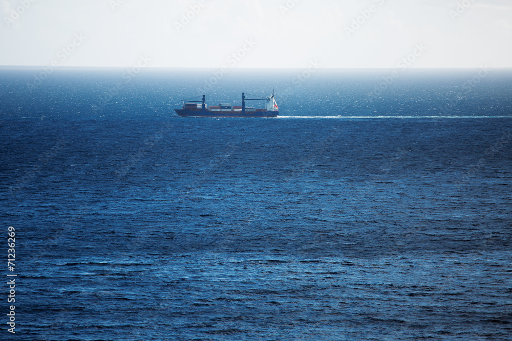 Cargo ship carries swims across the ocean