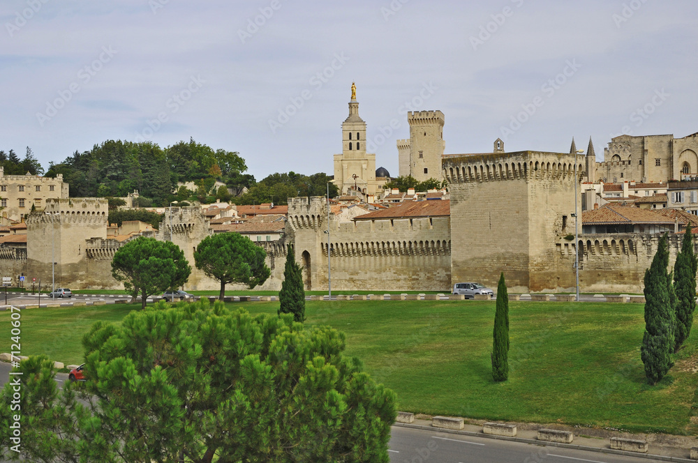 Avignone, le mura e la citta' vecchia