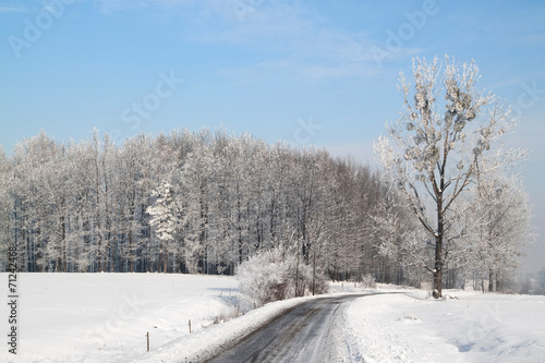 Winter country road