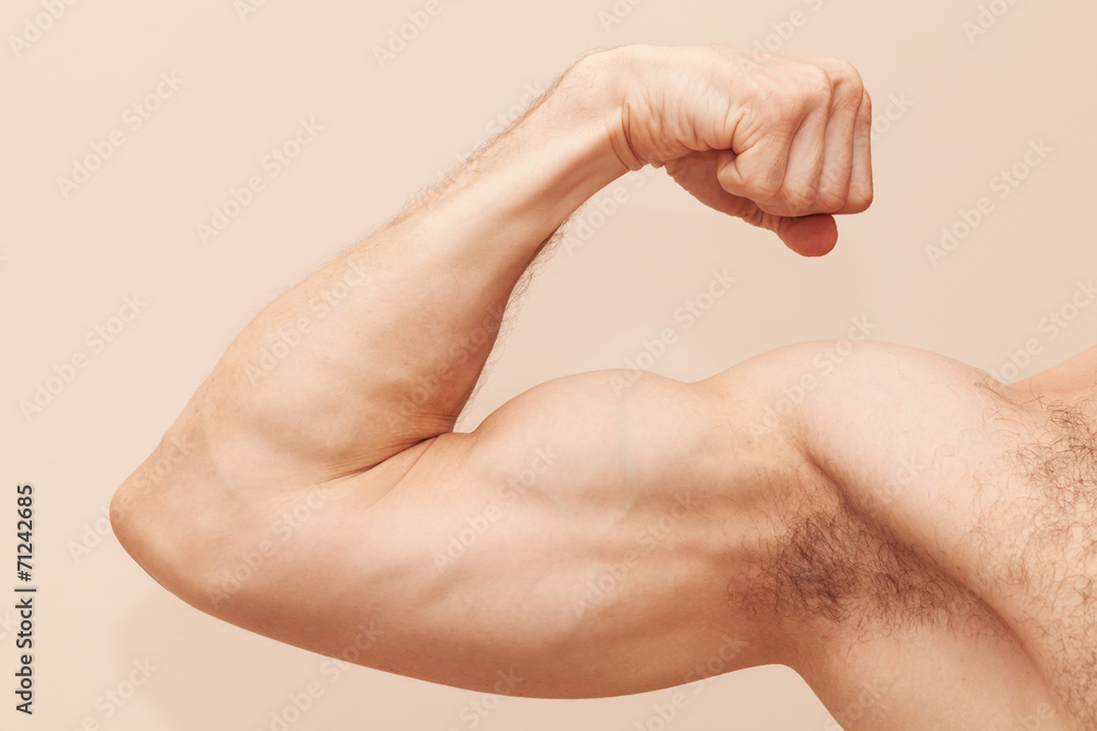 Strong male arm with biceps. Close up photo Strong male arm with biceps. Close up photo