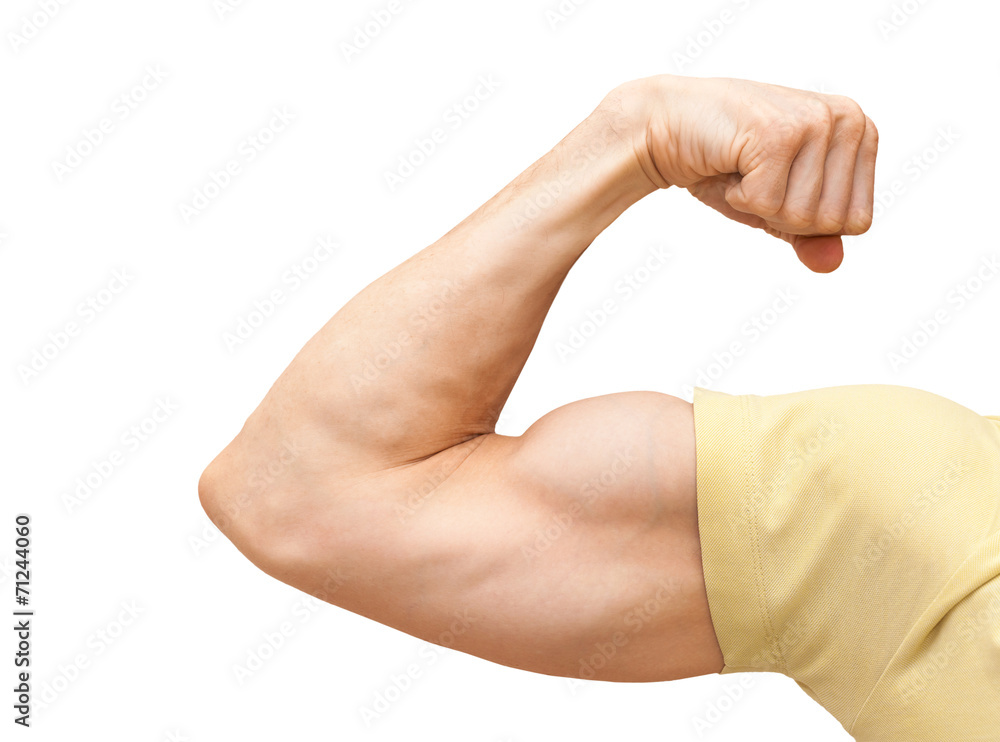 Strong male arm shows biceps. Close-up photo isolated on white Strong male arm shows biceps. Close-up photo isolated on white