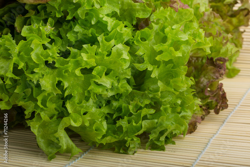 Various Salad leaves mix