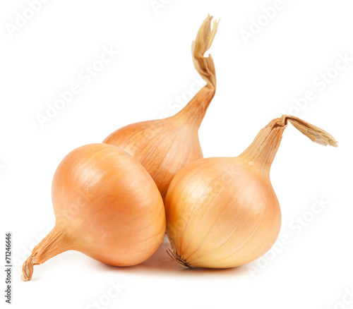 Onion vegetable bulbs on white background