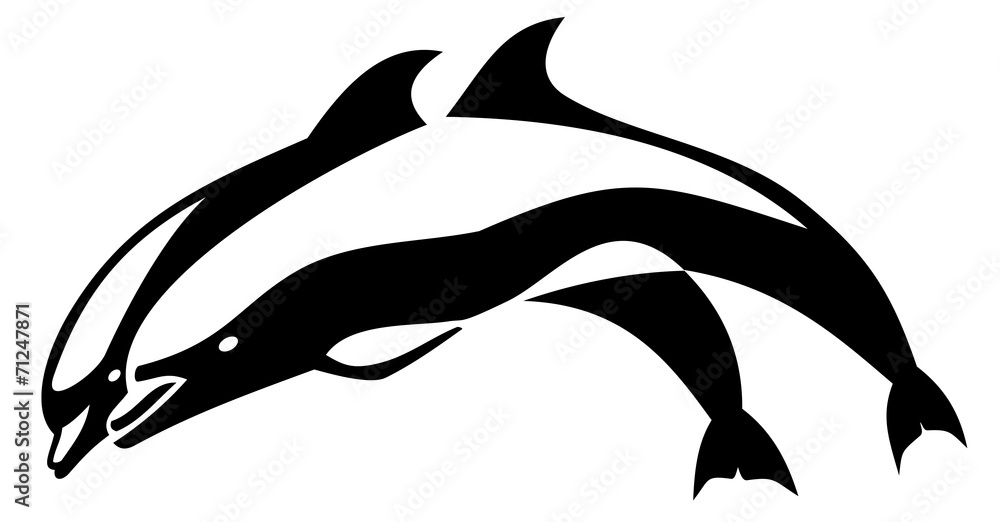 Obraz premium dolphin jumping