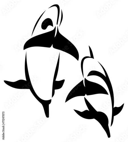 dolphin jumping