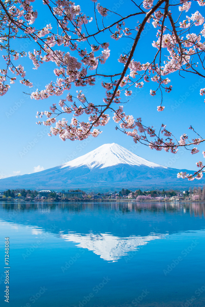 Naklejka premium Mt.Fuji