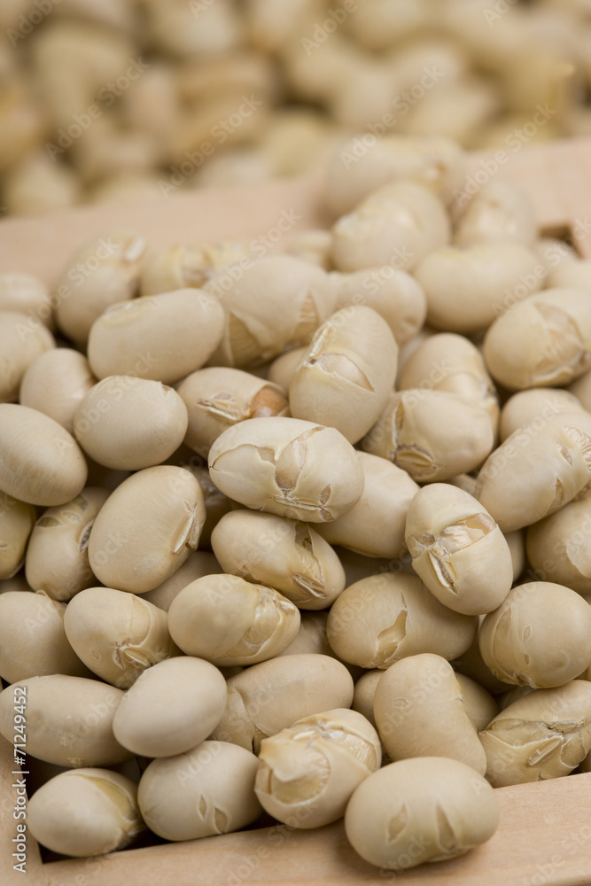 節分　升と炒り大豆