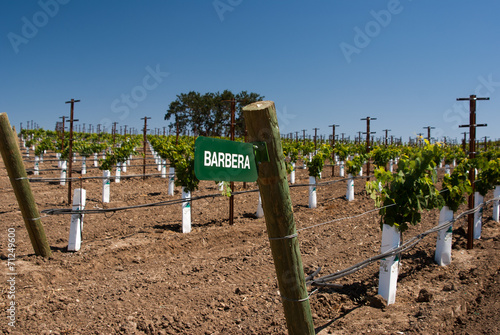 Sign for Barbera Grapes