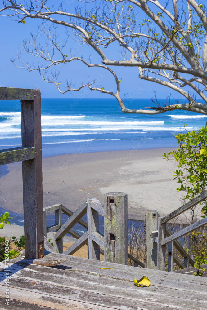 Stairs to a tropical beach with exotic plants Stairs to a tropical beach with exotic plants