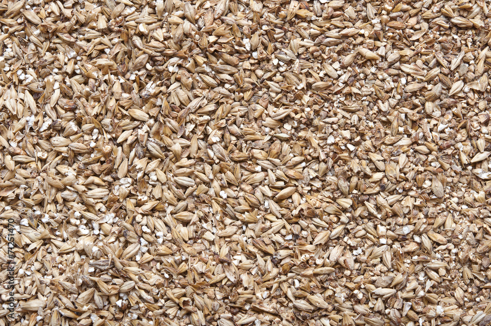 malt as background malt as background