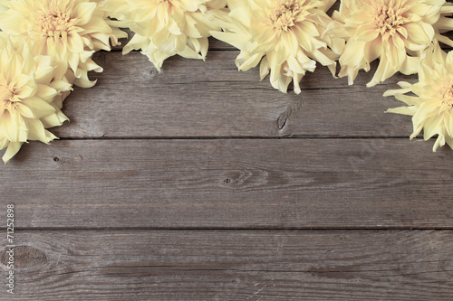 Fototapeta Naklejka Na Ścianę i Meble -  dahlia on wooden background