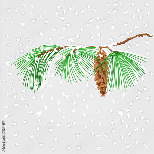 Pine branch with snowflakes christmas theme vector