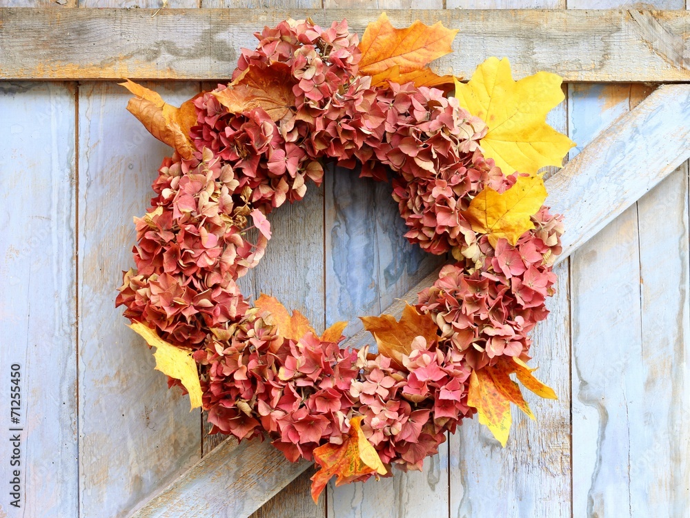 Naklejka premium autumn wreath of faded hydrangea flowers