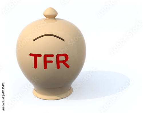sad piggy bank with the words tfr photo