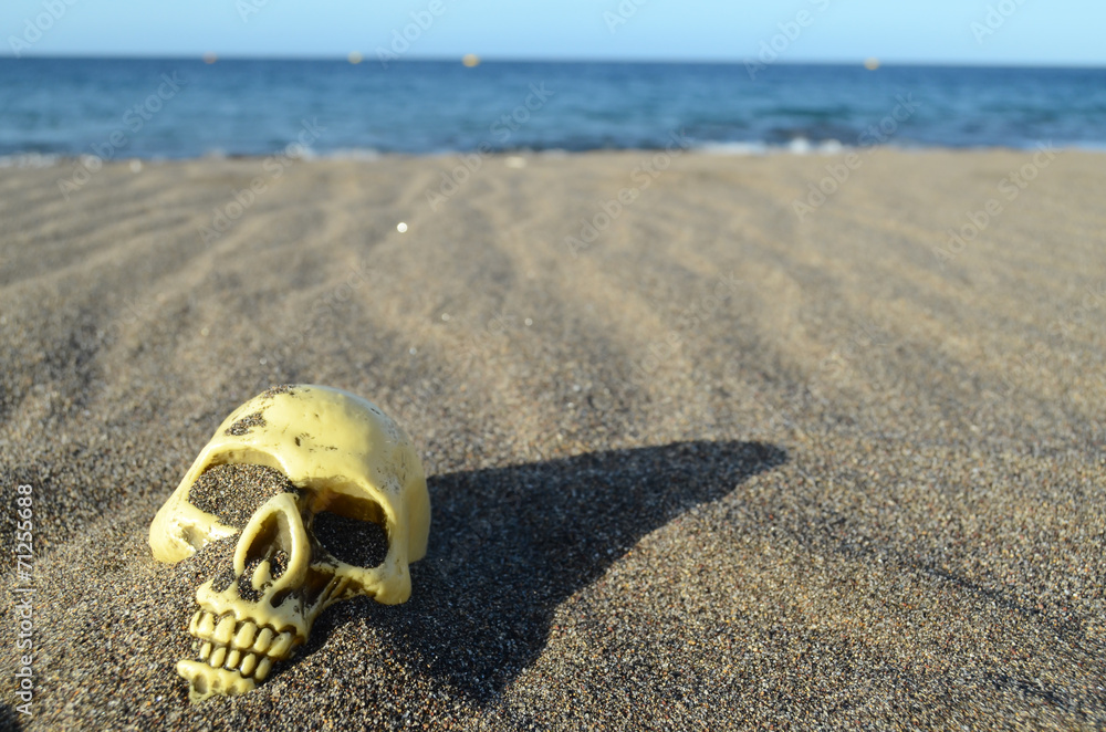 Fototapeta premium Skull on Sand