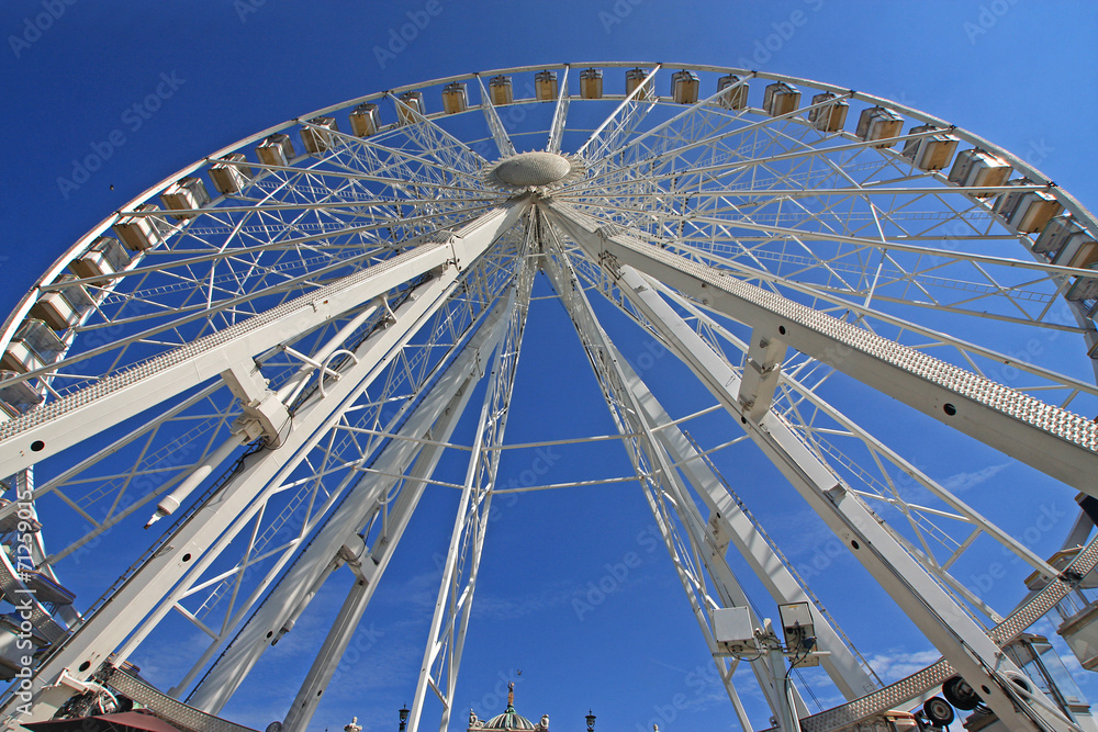 Ferris Wheel Ferris Wheel